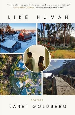 Like Human - Janet Goldberg - cover