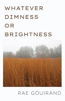Whatever Dimness or Brightness - Rae Gouirand - cover