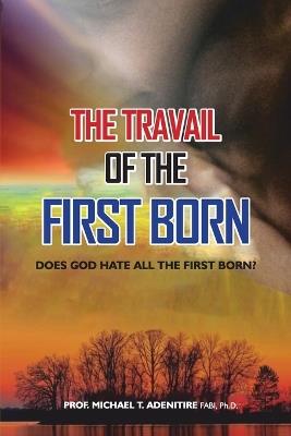 The Travail of the Firstborn: Does God Hate All the Firstborn? - Prof Michael T Adenitire Fabi - cover