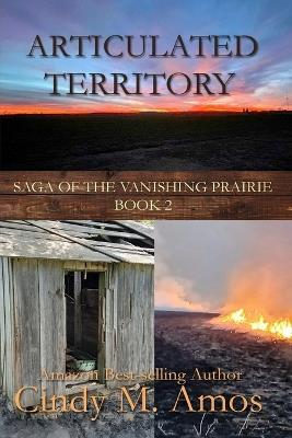 Articulated Territory - Cindy M Amos - cover