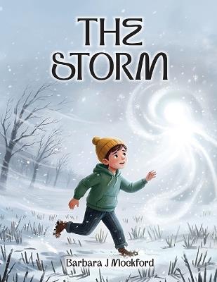 The Storm - Barbara J Mockford - cover