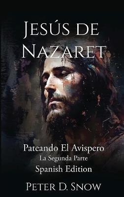 Jesús de Nazaret: Pateando El Avispero La Segunda Parte (Spanish Edition) - Peter D Snow - cover