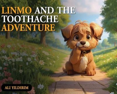 Linmo and the Toothache Adventure - Ali Yildirim - cover