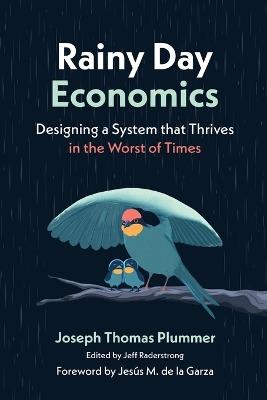 Rainy Day Economics: Designing a System that Thrives in the Worst of Times - Joseph Thomas Plummer - cover