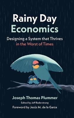 Rainy Day Economics: Designing a System that Thrives in the Worst of Times - Joseph Thomas Plummer - cover