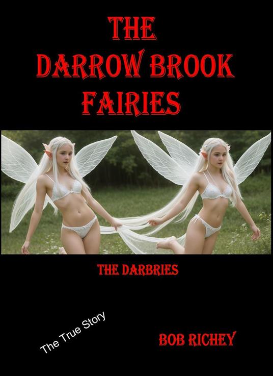 The Darbries - Bob Richey - ebook