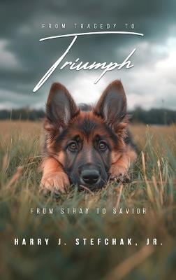 From Tragedy to Triumph - Harry J Stefchak - cover