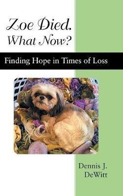 Zoe Died. What Now?: Finding Hope in Times of Loss - Dennis J DeWitt - cover