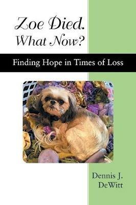 Zoe Died. What Now?: Finding Hope in Times of Loss - Dennis J DeWitt - cover