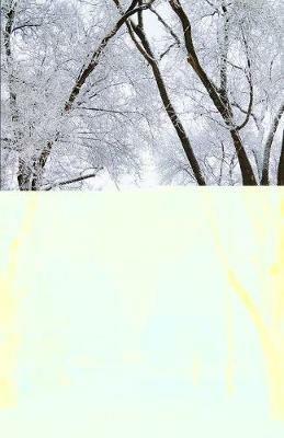 Christmas Journey: Advent Readings and Reflections from the Nativity Stories - Douglas Wirth - cover