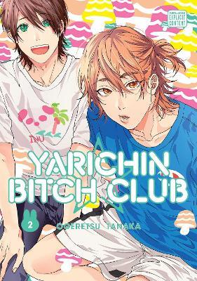 Yarichin Bitch Club, Vol. 2 - Ogeretsu Tanaka - cover