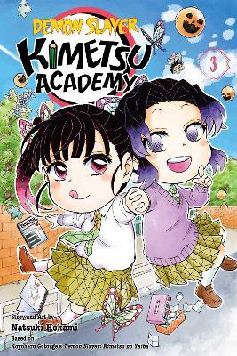Demon Slayer: Kimetsu Academy, Vol. 3 - Koyoharu Gotouge,Natsuki Hokami - cover