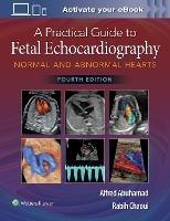 A Practical Guide to Fetal Echocardiography: Normal and Abnormal Hearts - Alfred Z. Abuhamad,Rabih Chaoui - cover