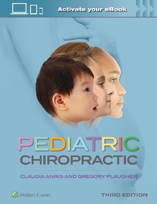 Pediatric Chiropractic - Claudia A. Anrig,Gregory Plaugher - cover