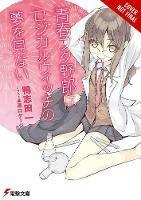 Rascal Does Not Dream of Logical Witch (light novel)