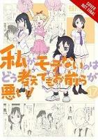 No Matter How I Look at It, It's You Guys' Fault I'm Not Popular!, Vol. 17