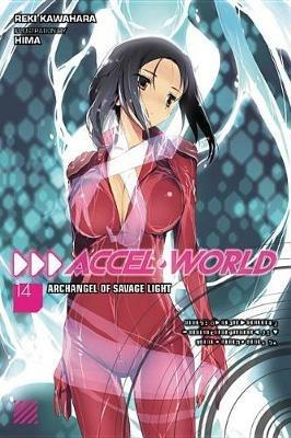 Accel World, Vol. 14 (light novel) - Reki Kawahara - cover
