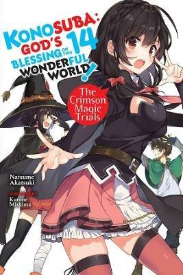 Konosuba: God's Blessing on This Wonderful World!, Vol. 14 light novel - Natsume Akatsuki - cover