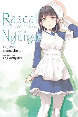 Rascal Does Not Dream of a Nightingale (light novel) - Andrew Cunningham,Hajime Kamoshida,Keji Mizoguchi - cover
