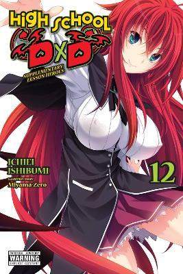 High School DxD, Vol. 12 (light novel) - Haydn Trowell,Ichiei Ishibumi,Miyama-Zero Miyama-Zero - cover