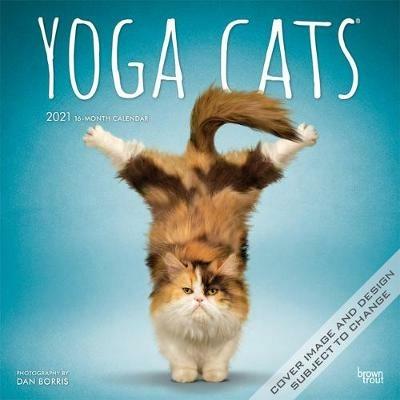 Yoga Cats 2021 Square - Browntrout - cover