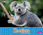 Koalas: A 4D Book