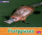Platypuses: A 4D Book