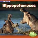 Hippopotamuses: A 4D Book