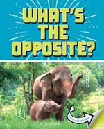 What's The Opposite: A Turn-And-See Book