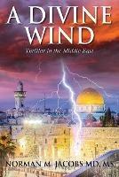 A Divine Wind: Taming a Tornado Anticipating a Trillion Dollar Disruptive Technology A Vision of Peace in the Middle East An Allegory on the Biblical Book of Job - Norman M Jacobs - cover