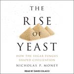 The Rise of Yeast