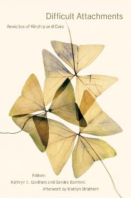 Difficult Attachments: Anxieties of Kinship and Care - cover
