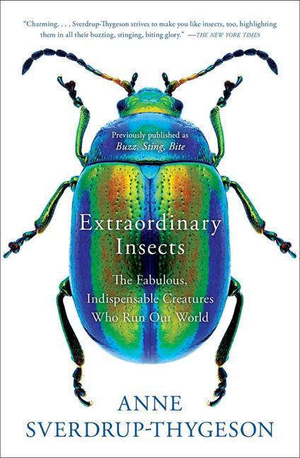Extraordinary Insects
