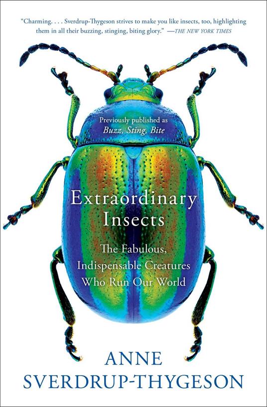 Extraordinary Insects