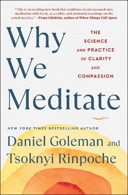 Why We Meditate: The Science and Practice of Clarity and Compassion - Daniel Goleman,Tsoknyi Rinpoche - cover