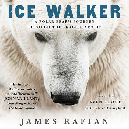 Ice Walker