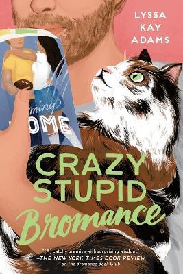 Crazy Stupid Bromance - Lyssa Kay Adams - cover