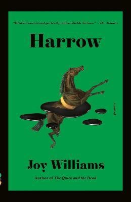 Harrow: A novel - Joy Williams - cover