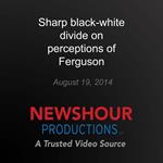 Sharp black-white divide on perceptions of Ferguson