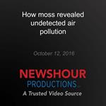 How moss revealed undetected air pollution