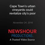Cape Town's urban vineyards could revitalize city's poor