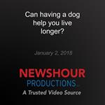 Can having a dog help you live longer?