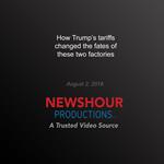 How Trump’s tariffs changed the fates of these two factories