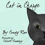 Cat in Charge
