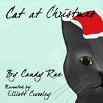 Cat at Christmas