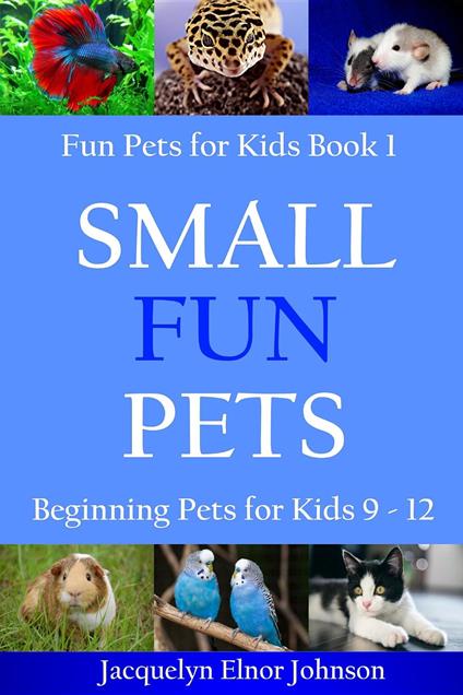 Small Fun Pets - Jacquelyn Elnor Johnson - ebook