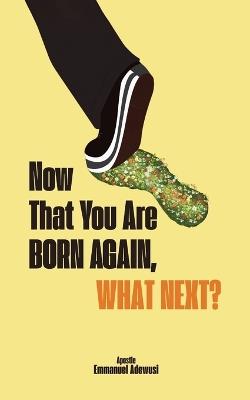 Now That You Are Born Again, What Next? - Emmanuel Adewusi - cover