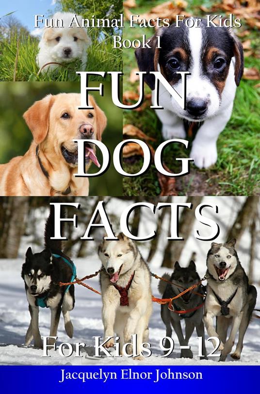Fun Dog Facts for Kids 9 - 12