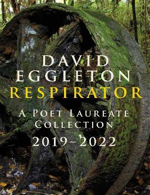 Respirator - David Eggleton - cover