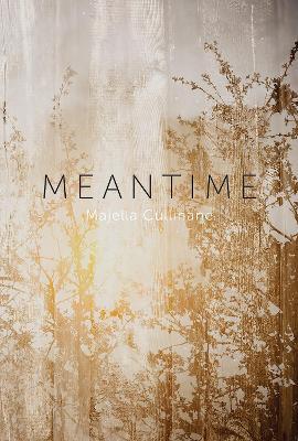 Meantime - Majella Cullinane - cover